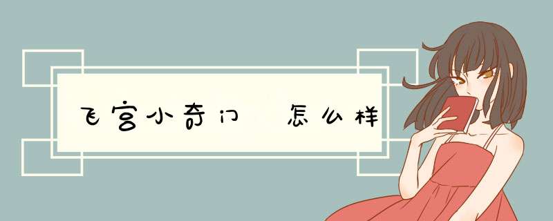 飞宫小奇门 怎么样,第1张